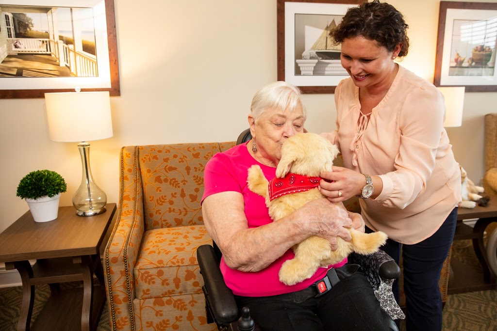 Lifelike Robotic Pets for Seniors - Joy for All – Ageless Innovation LLC