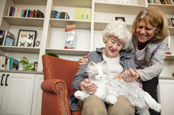 Ageless Innovation Celebrates Half Million Joy For All™ Companion Pets Adopted By Older Adults