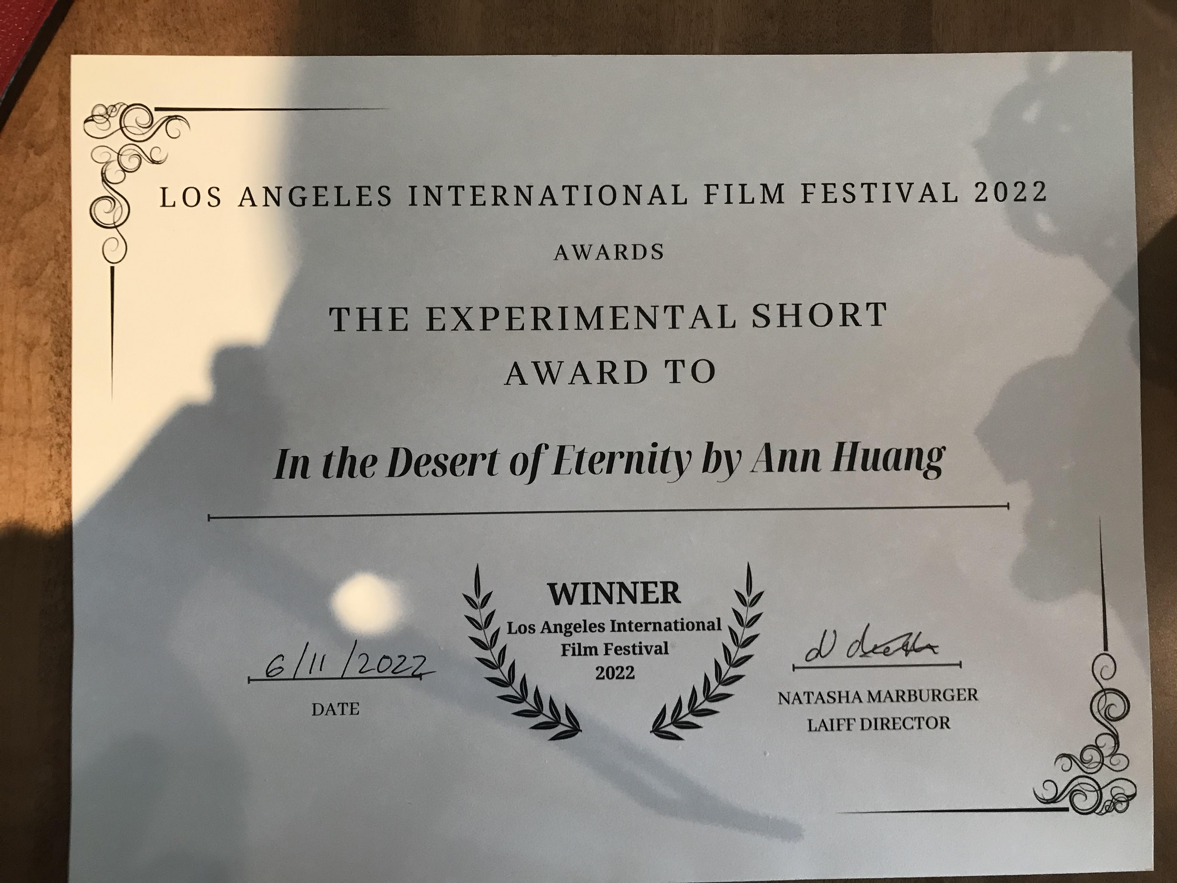Best Experimental Short Film at Los Angeles International Film Festival