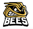 HotelPlanner Takes the Ice with U.K.’s Bees Ice Hockey Club
