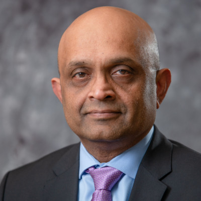Raj Menon, Advisory Council Member