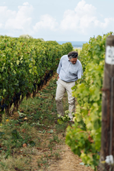 Axel Heinz, Estate Director, in the vineyards of Ornellaia