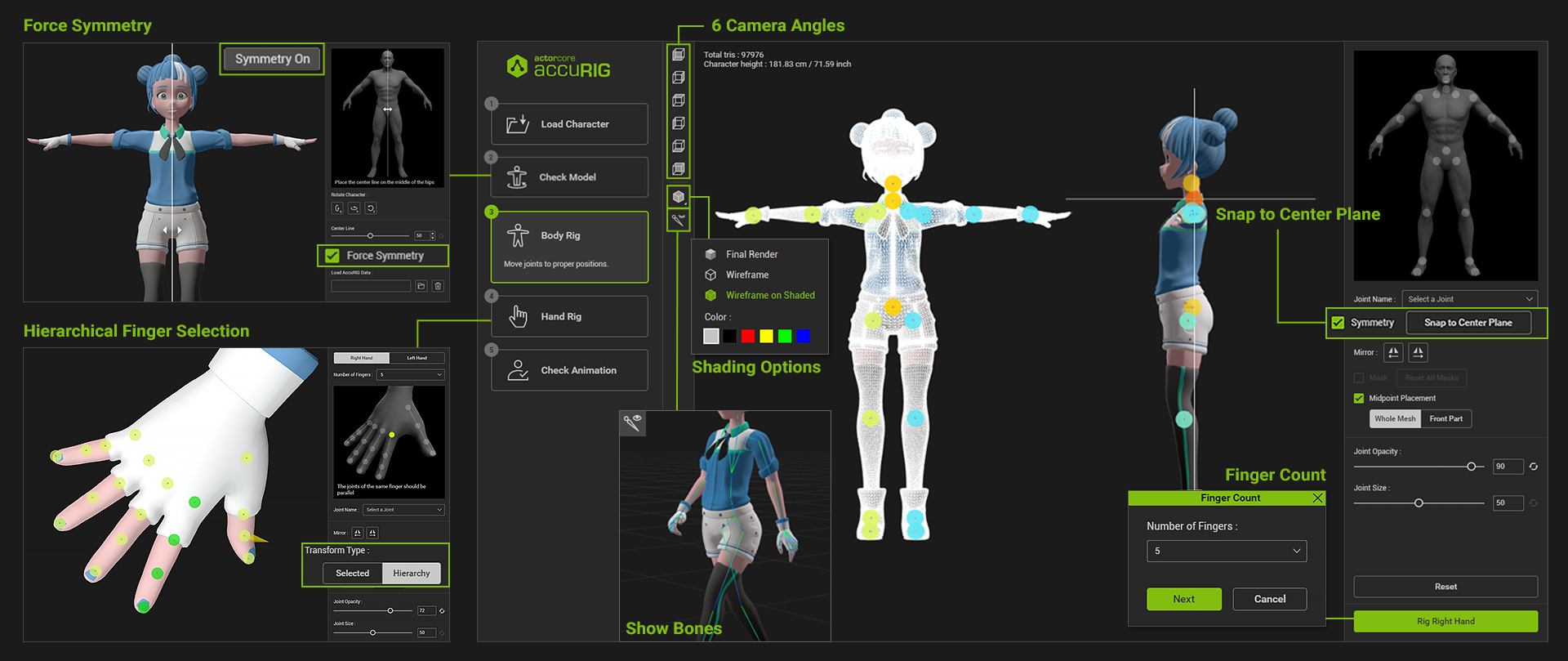 AccuRIG 1.1 improves it's Force Symmetry, Snap to Center Plane, Wireframe views and show bones