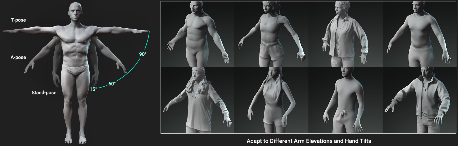 AccuRIG is made to handle both scanned and sculpted poses for any standard, size, style, and posture.