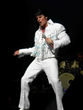 Chris MacDonald Memories of Elvis Live Concert Pic -Tribute to Elvis Vegas 1970's Concert Years