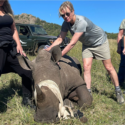 Nature Heart Safari Founder Carrie Asby Helps De-horn a Rhino