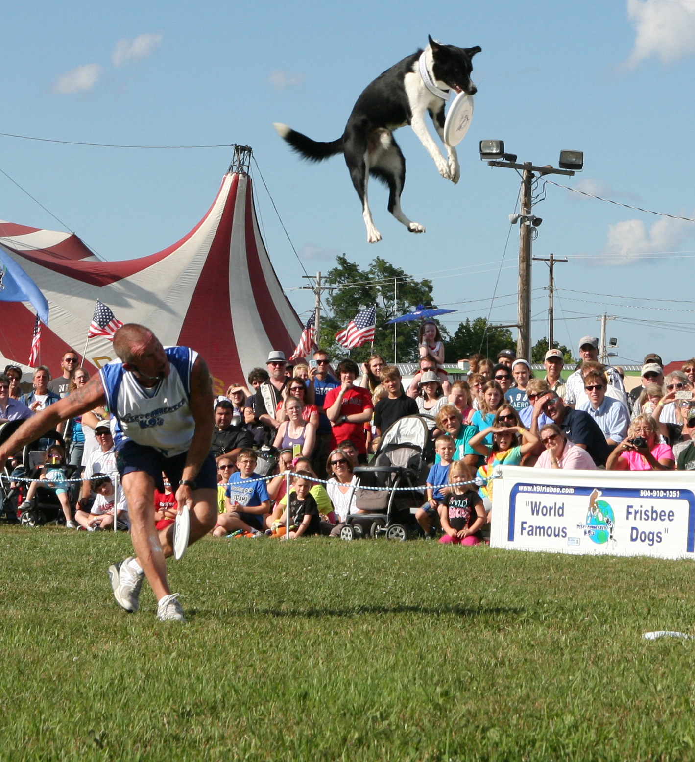 Don't Miss the Disc-Connected K9s, World Famous Frisbee Dogs