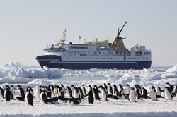 Antarctica21 ship and penguins - Courtesy of Antarctica21