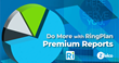 RingPlan Premium reports go beyond traditional reports