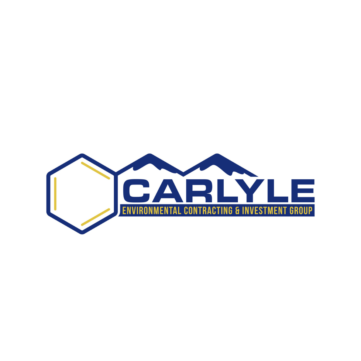 Carlyle Investment Group logo