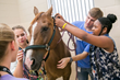 The Vet Set Go “Become a Veterinarian Camp Contest” is open to students entering 6th - 8th grade in the fall of 2023.