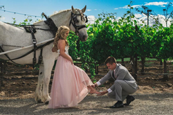 Temecula Valley is an ideal spot to ride through the vineyards in a horse-drawn carriage.