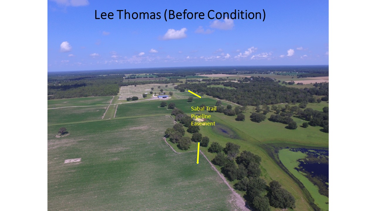 Lee Thomas Trust Before Condition