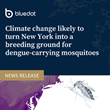 Climate change likely to turn New York into a breeding ground for dengue-carrying mosquitoes