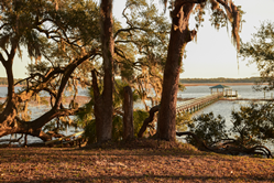 Thumb image for FirstService Residential Welcomes Wrights Point HOA to its South Carolina Portfolio