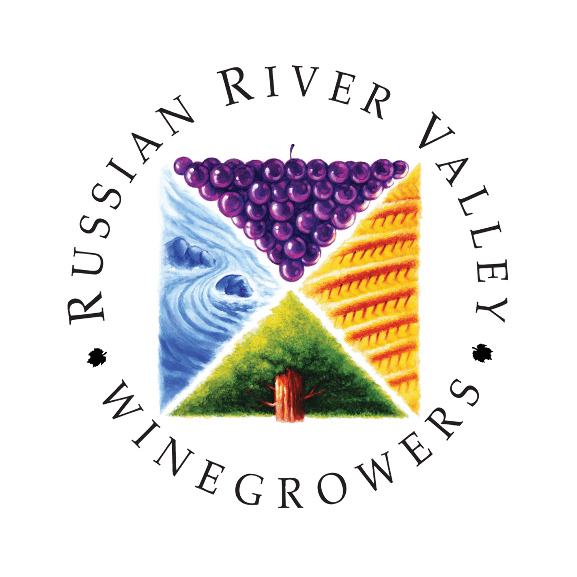 RRVW is a community of winemakers and farmers dedicated to producing exceptional wines that showcase the nuance and diversity of the Russian River Valley neighborhoods.