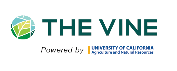 UC ANR The Vine Logo