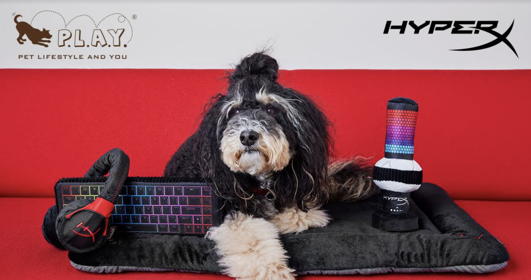 HyperX and P.L.A.Y. Join Forces to Launch First-of-its-Kind Innovative Pet Toy Collaboration