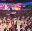 Cruises.com Becomes the Official Cruise Partner of University of Houston Athletics