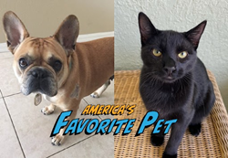 Colossal Raises Over $3.2M Benefitting PAWS | America's Favorite Pet Winners Also Revealed