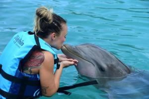 Dolphin Discovery Puerto Aventuras, 25 Years of Excelling in Animal Welfare