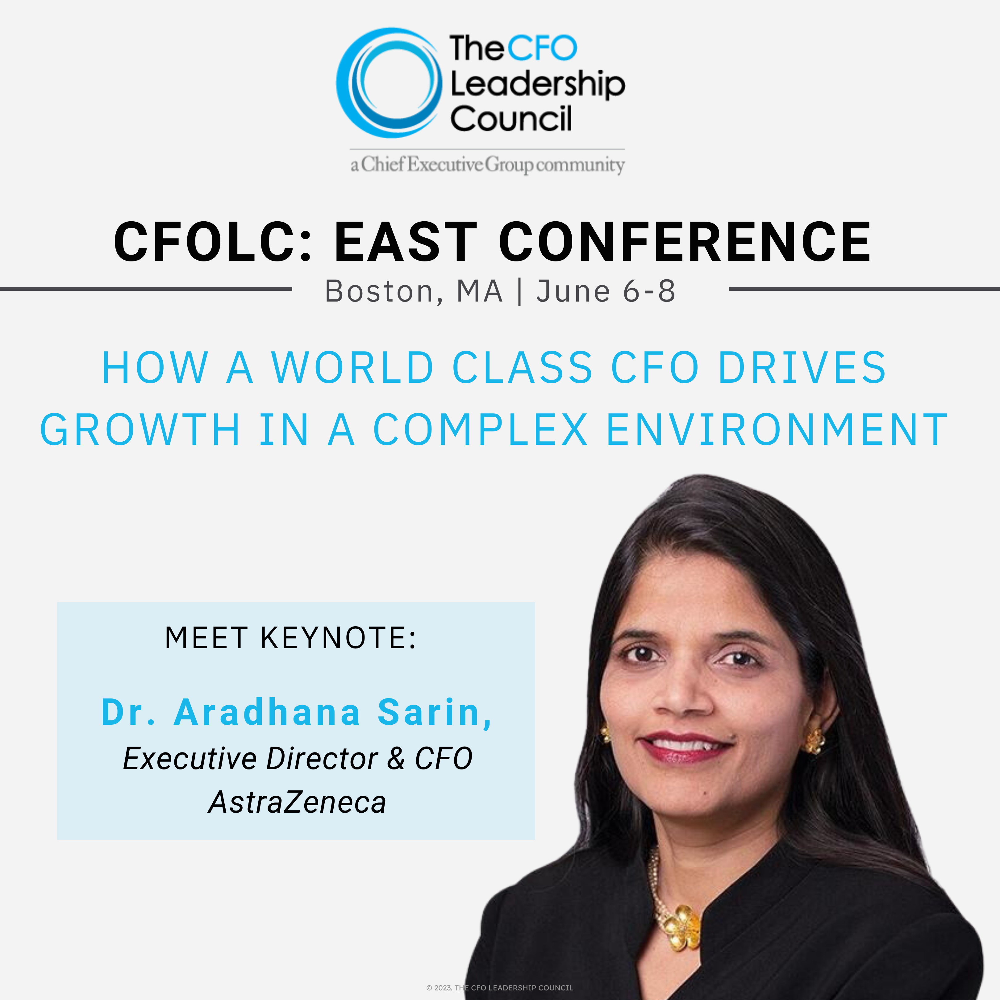 The CFO Leadership Council