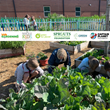 Requests Outpace Available Funding for Youth Gardening Programs