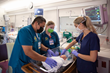 AHN Schools of Nursing Now Accepting Applications for Class of 2025