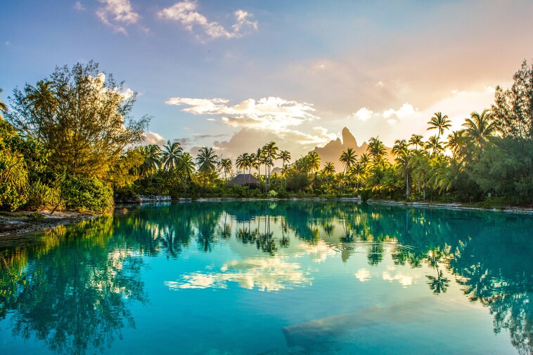 The St. Regis Bora Bora Resort's Lagoonarium