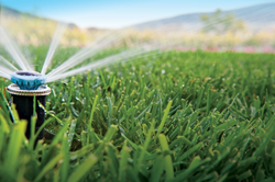 A sprinkler head spraying water onto a green lawn.