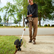 Celebrate Dad’s Day with Long Lasting  Lawn and Garden Innovations from WORX