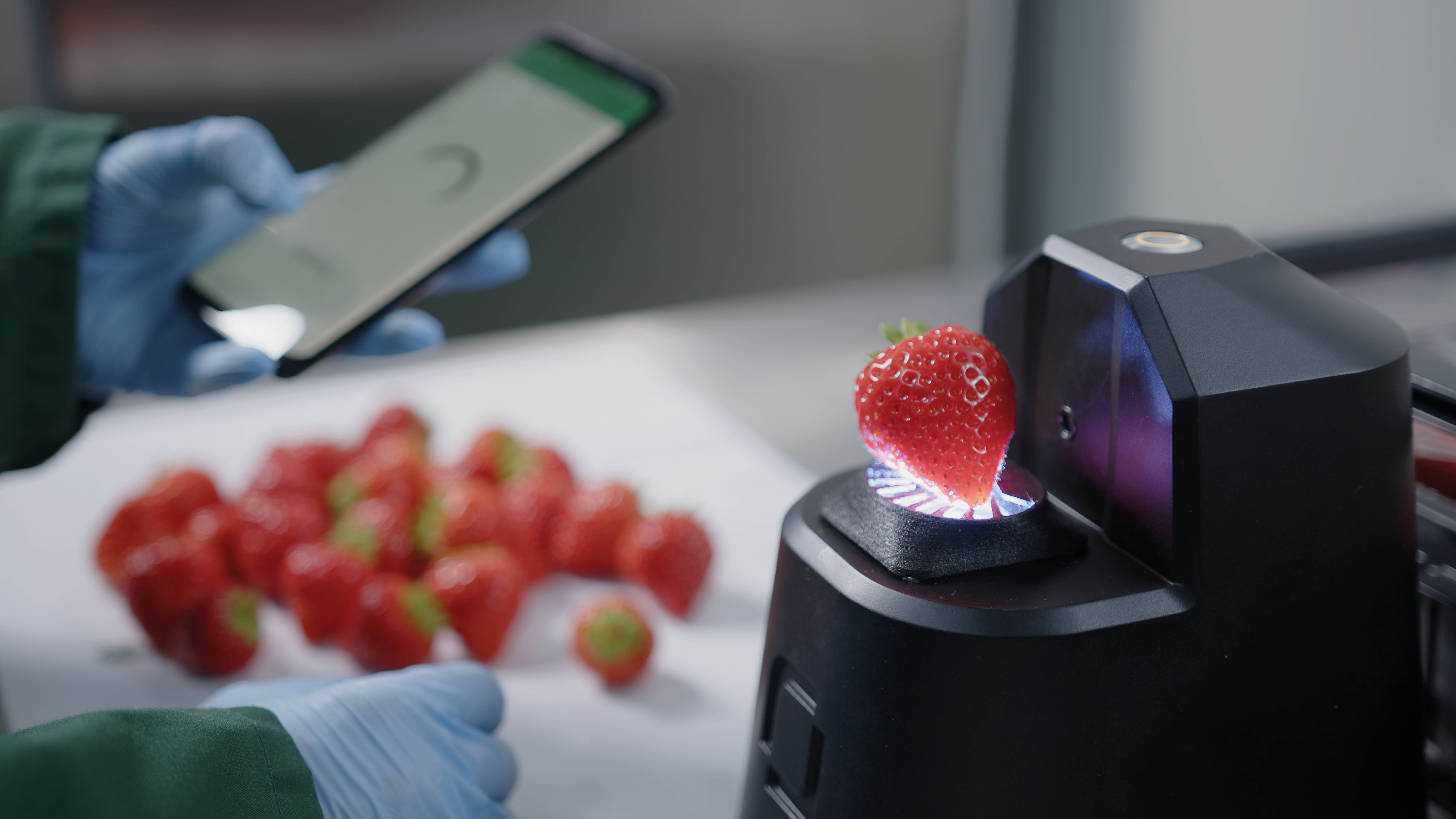 OneThird's AI-Powered Produce Scanners Put an End to Wasted Strawberries