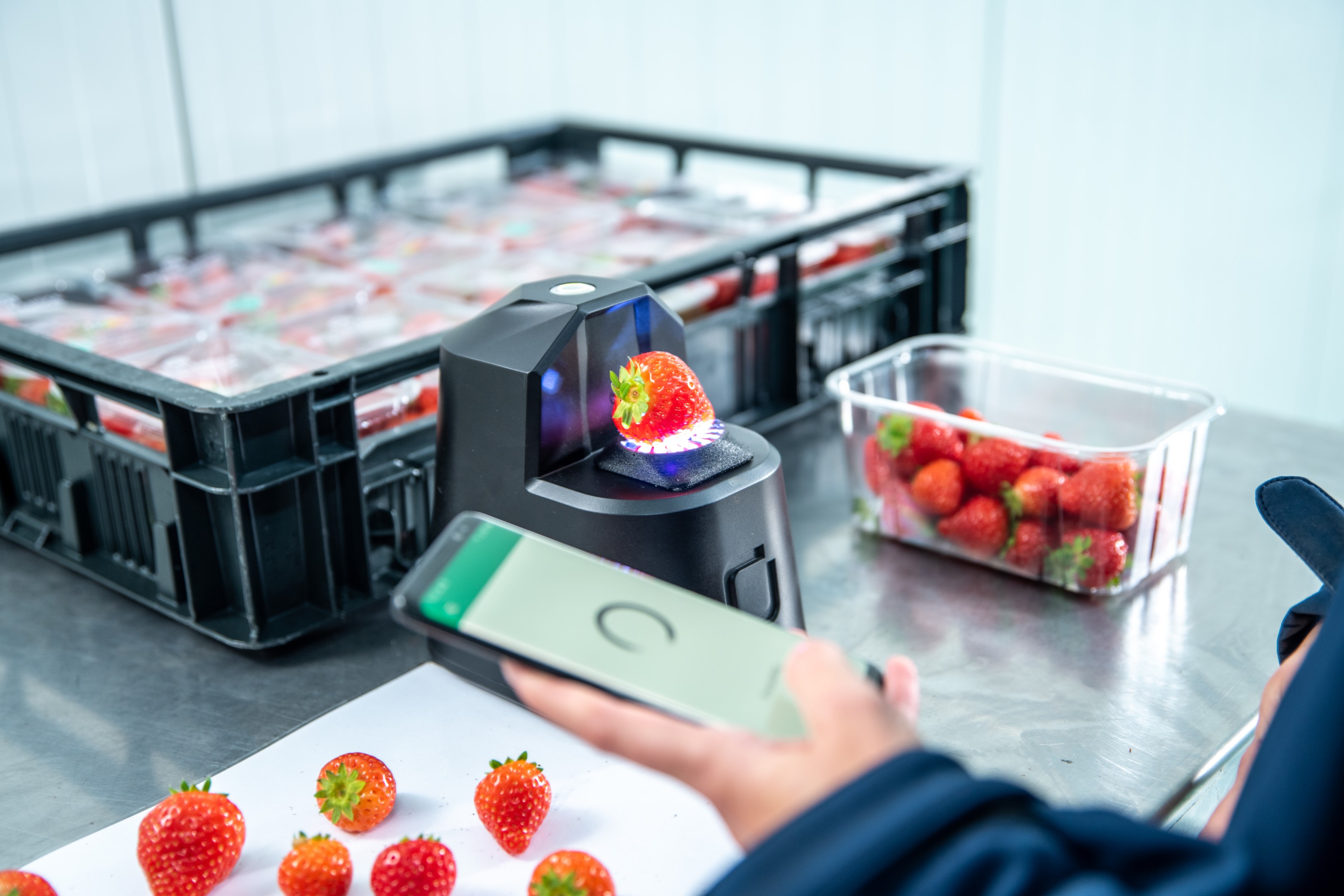 OneThird's AI-powered produce Scanner technology in action
