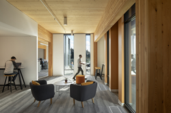 Thumb image for Mass Timber and Sustainable Building: A Closer Look at New York City