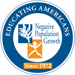 New NPG Forum Paper Explores the U.S. Immigration System After Title 42