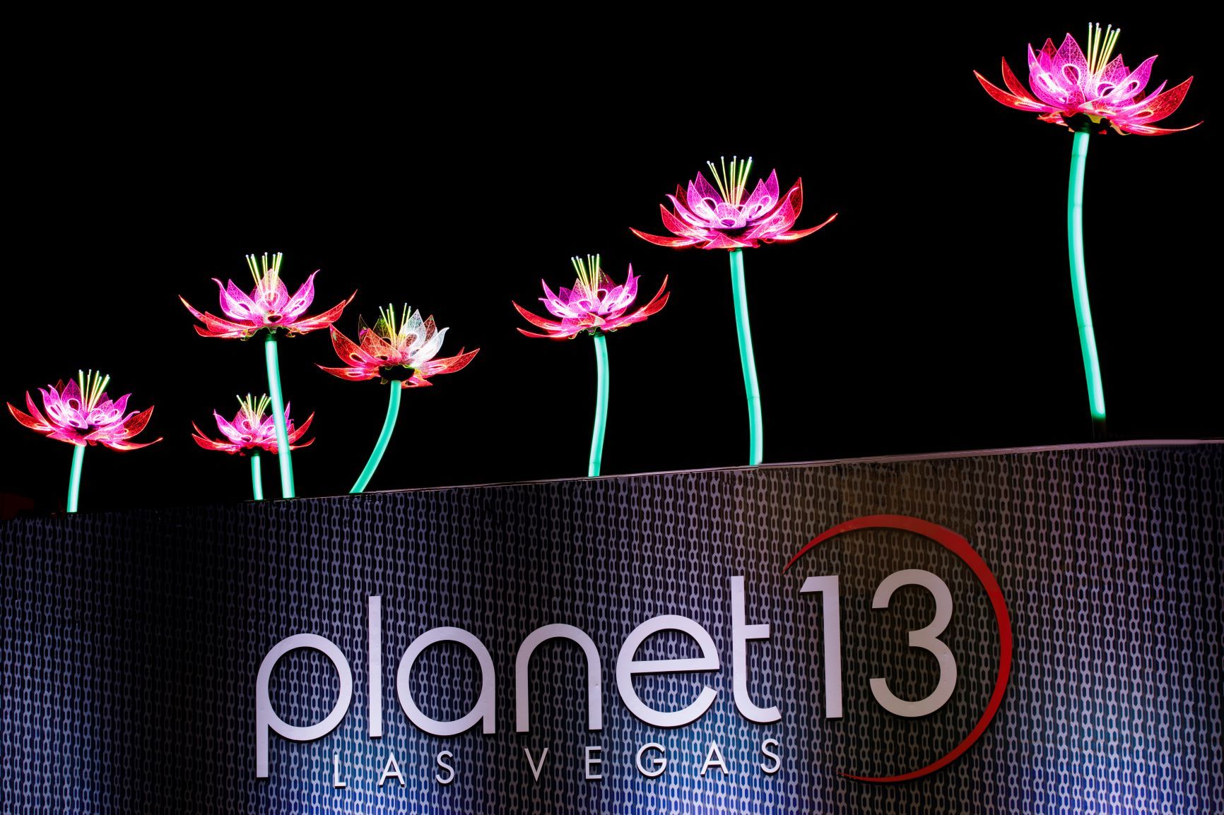 Planet 13 Giant rooftop LED Lotus Flowers