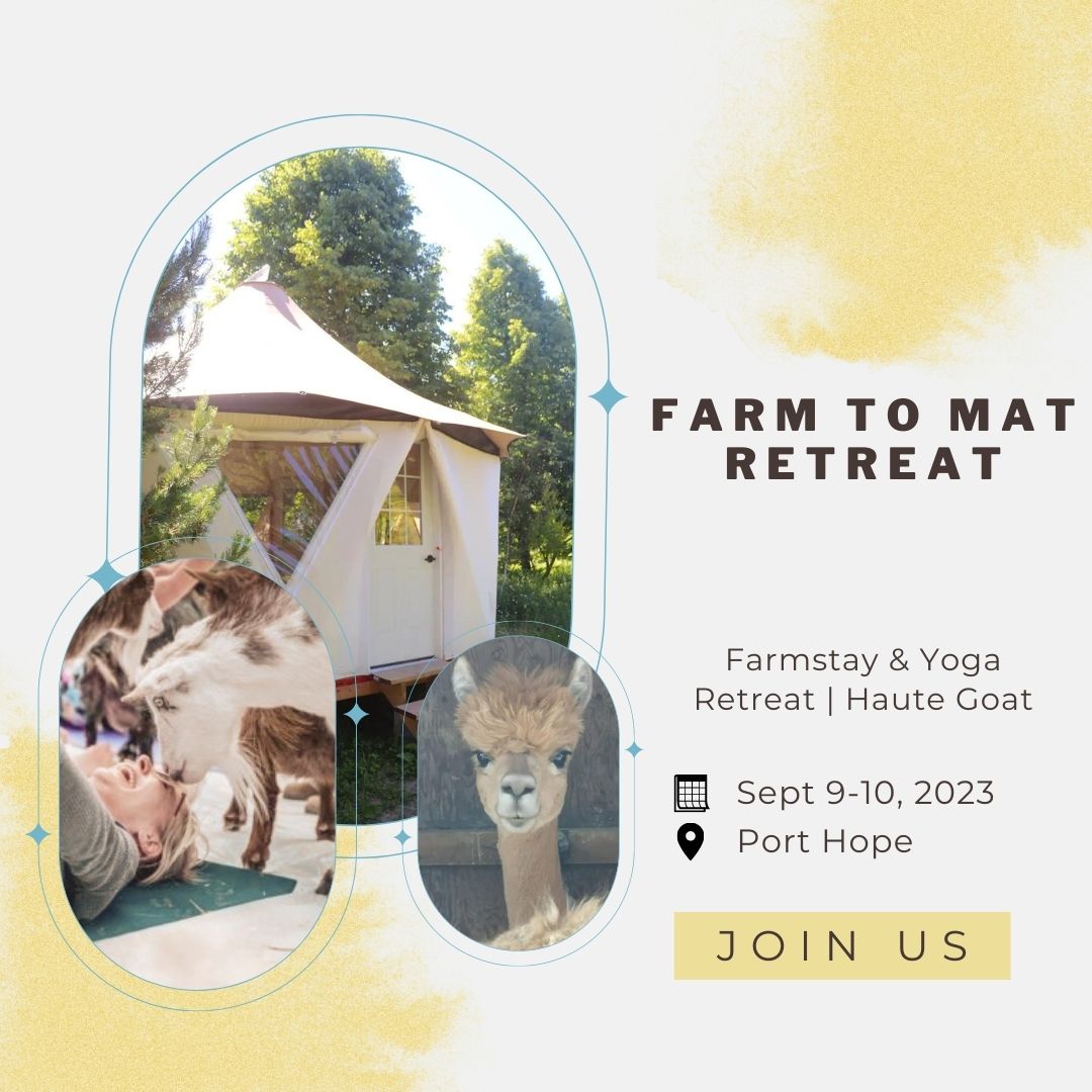 Farm to Mat Retreat at Haute Goat