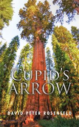 David Peter Rosenfeld's 'Cupid's Arrow' is set for a new marketing campaign
