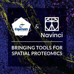 Cayman and Navinci Announce Strategic Partnership, Expanding Access to Next-Generation Tools for Spatial Proteomics
