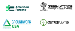 American Forests, GreenLatinos, Groundwork USA, and One Tree Planted Join Forces to Launch a New National Tree Equity Alliance