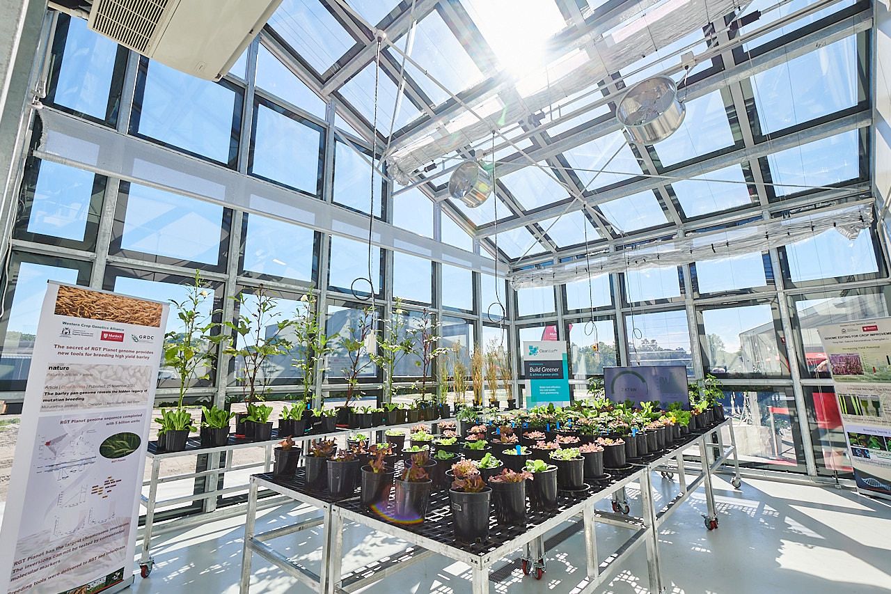 ClearVue Solar Glazing Murdoch University Perth Australia
