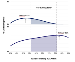 Fat Burning During Exercise Varies Widely Between Individuals; Study reveals limitations of commercial exercise machines